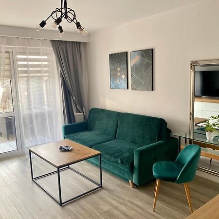 Apartament Na Skrzypka 치에신 외부 사진