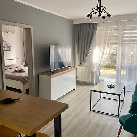 Apartament Na Skrzypka 치에신 외부 사진