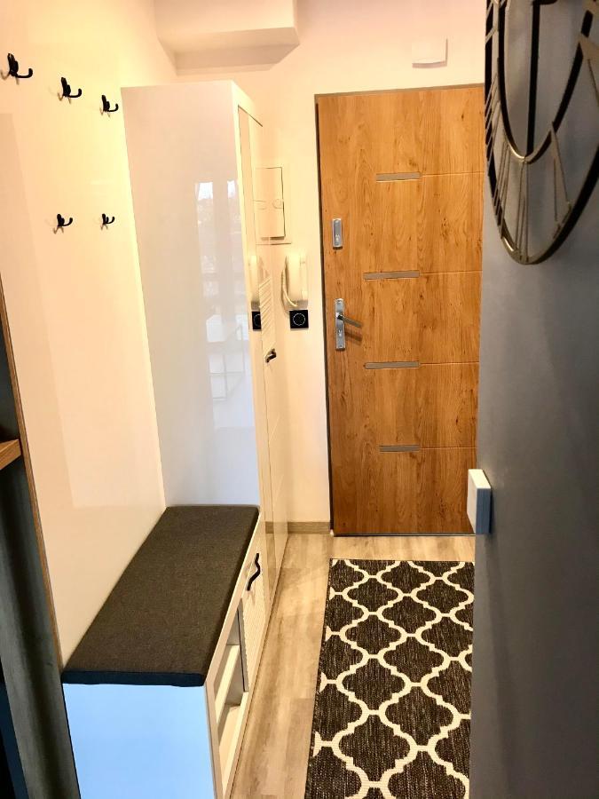 Apartament Na Skrzypka 치에신 외부 사진