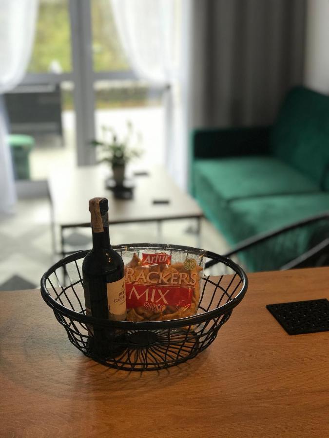 Apartament Na Skrzypka 치에신 외부 사진